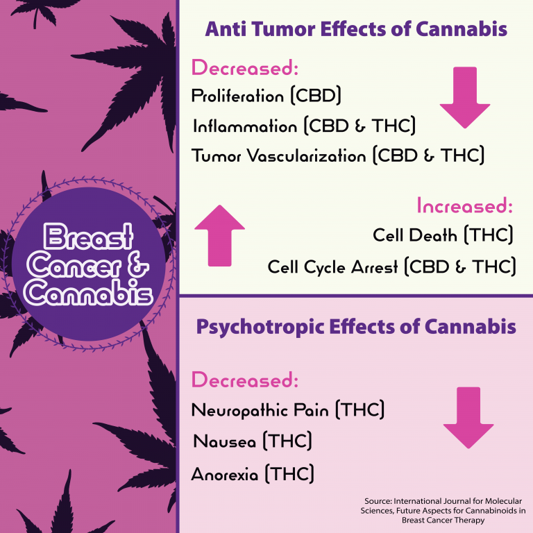 Infographic - Breast Cancer & Cannabis