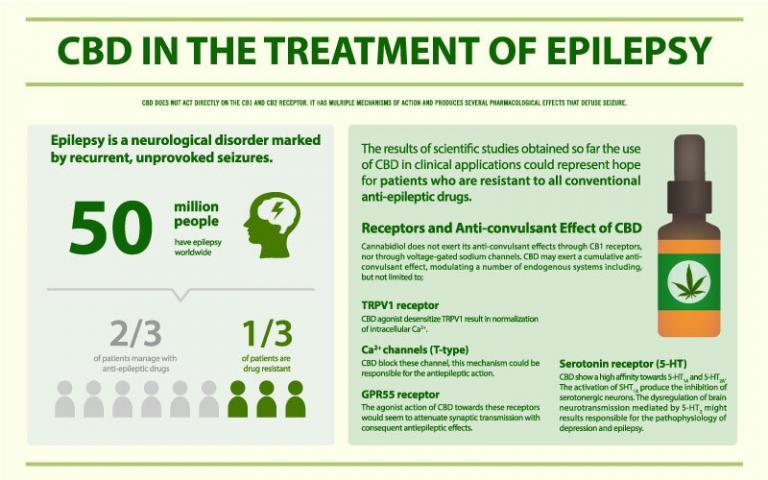 Infographic - Epilepsy & CBD