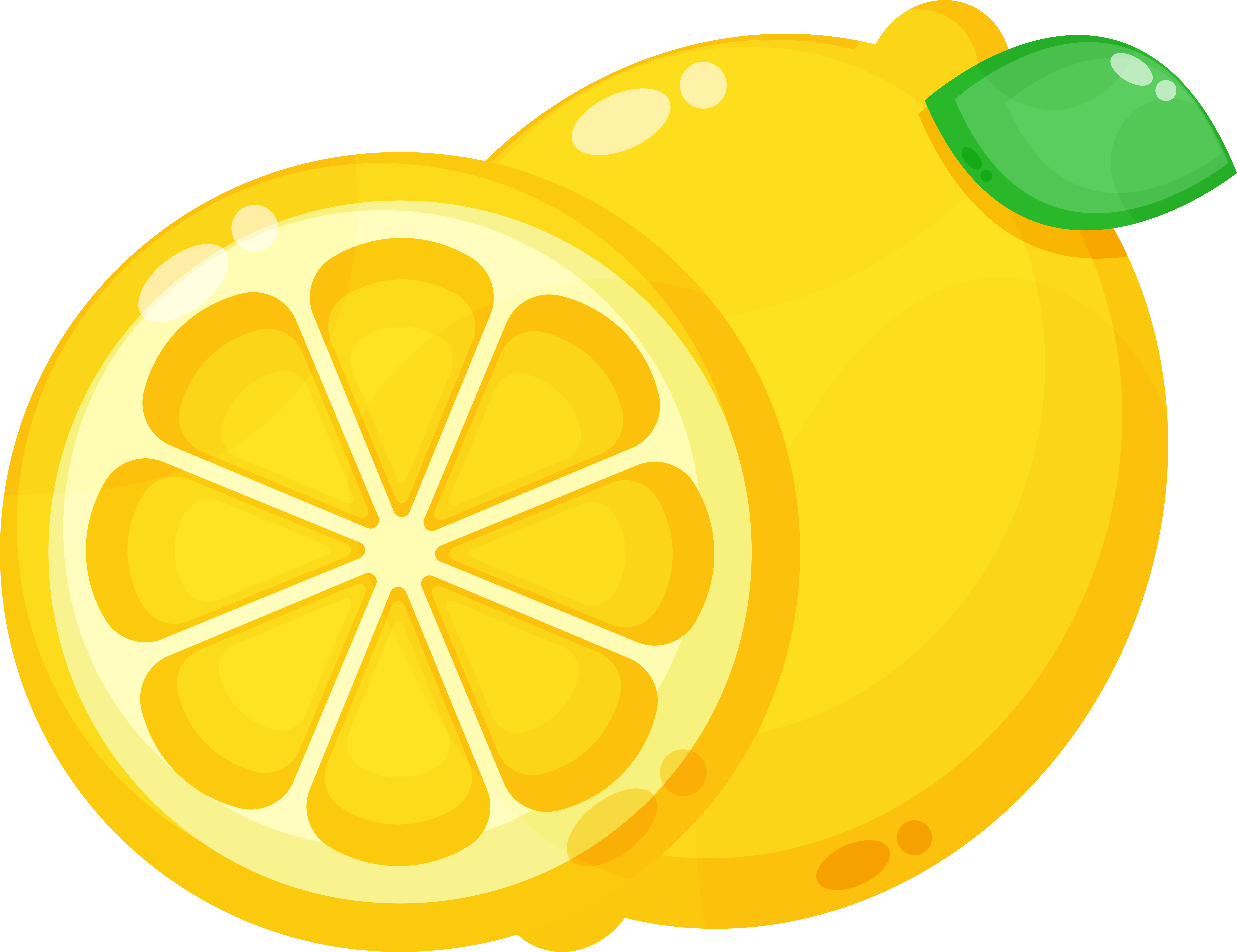 Botanical - Lemon Balm