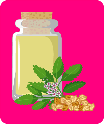 Botanical - Frankincense