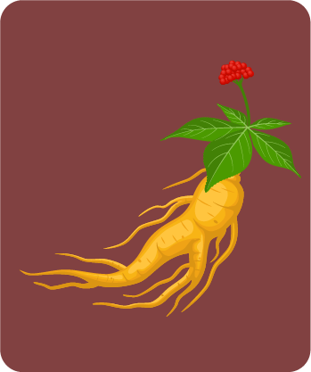 Botanical - Red Ginseng